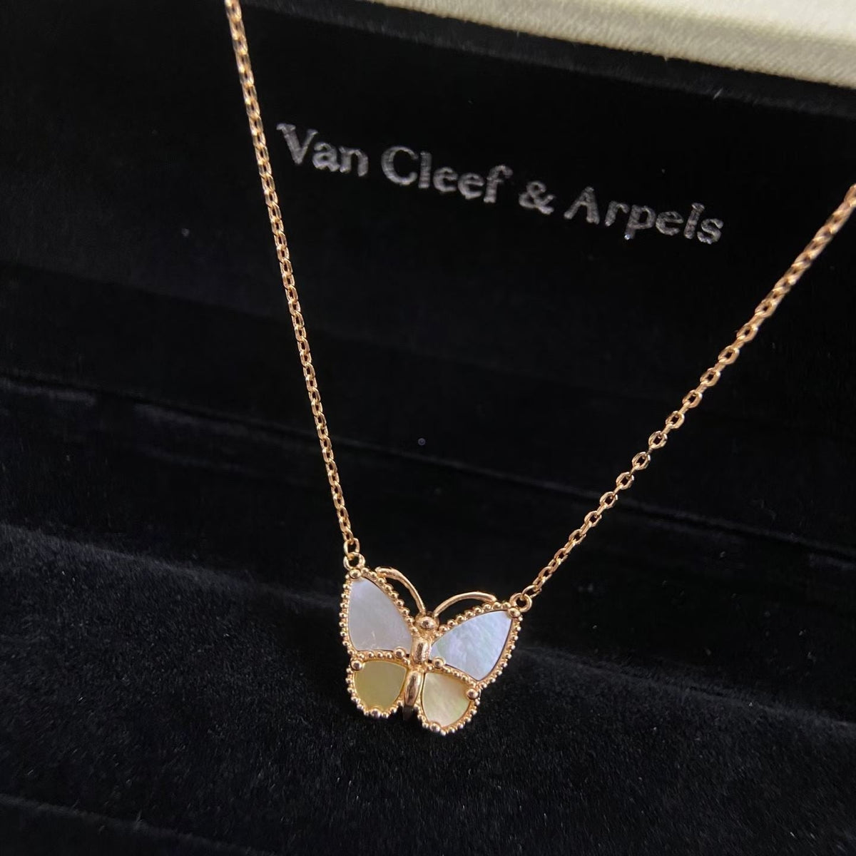 [Super CiCi] NEUE ROSÉGOLDENE HALSKETTE MIT WEISSEM PERLMUTT-SCHMETTERLING